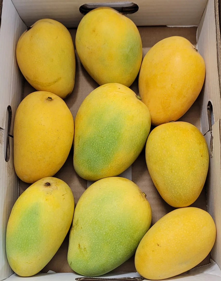 Banginpalli