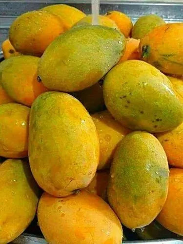 Rasalu