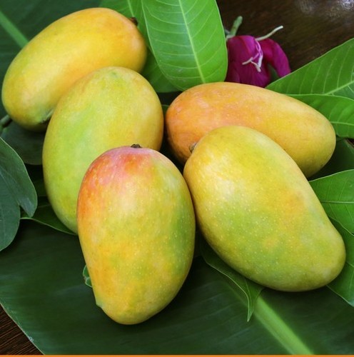 Kesari